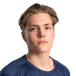 D. Heikkinen
