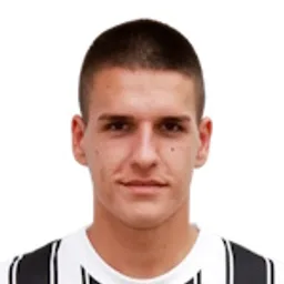 M. Stjepanović