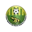 USFAS Bamako logo