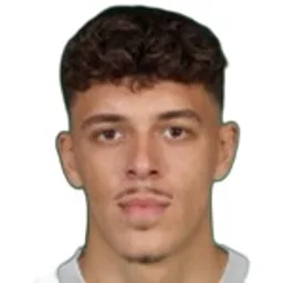 D. Kaygin