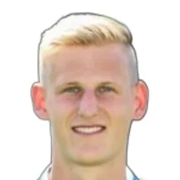 N. Hoffmann