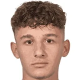 N. Popescu