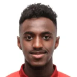 Ibrahim Mahnashi