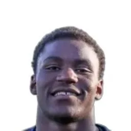 P. Ndinga Ossibadjouo