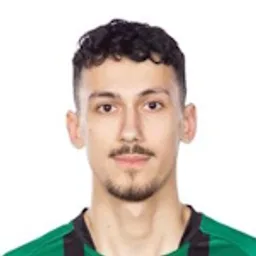 D. Krasniqi