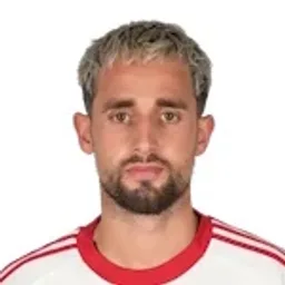 A. Januzaj