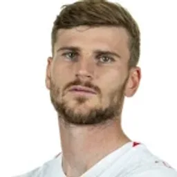 T. Werner