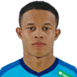Pedro Henrique