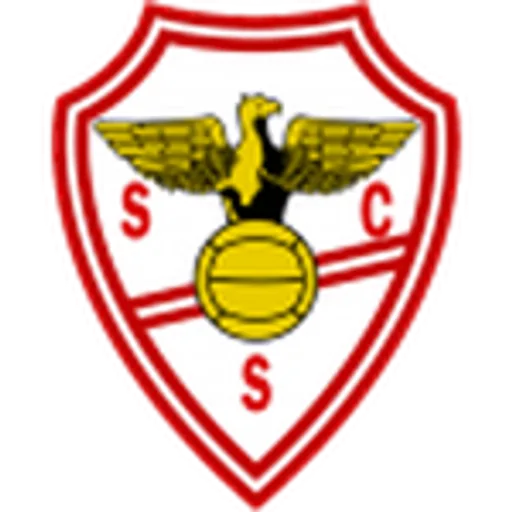 Salgueiros logo