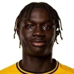 M. Mane