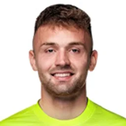 M. Ilić