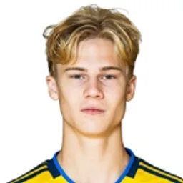 T. Bergvall