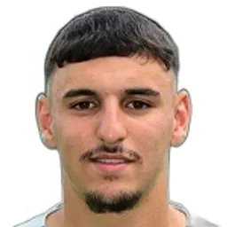 O. Mhamdi