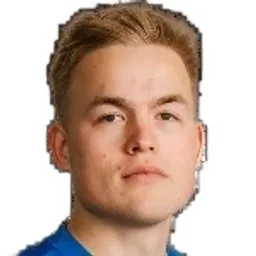V. Vehkonen